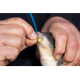 Wafter Sonubaits - Spike'um Wafter Meaty Mussel 8mm